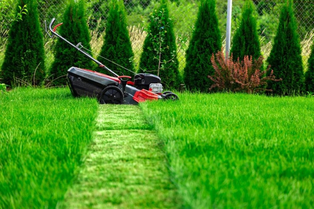 how-to-say-cut-the-grass-in-spanish-1706088141