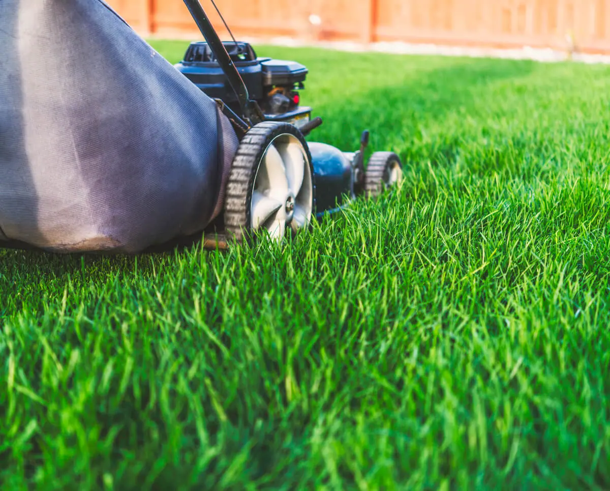 seasonal-lawn-care